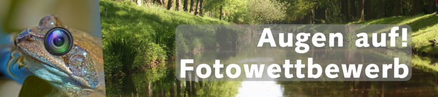 Bildmontage zum Fotowettbewerb »Augen auf!« Links ein Frosch mit einem Kameraauge, rechts der Torfkanal mit Aufschrift.